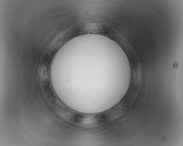 X0000112860705200909041553