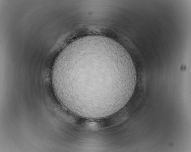 X0000112860706200909041553