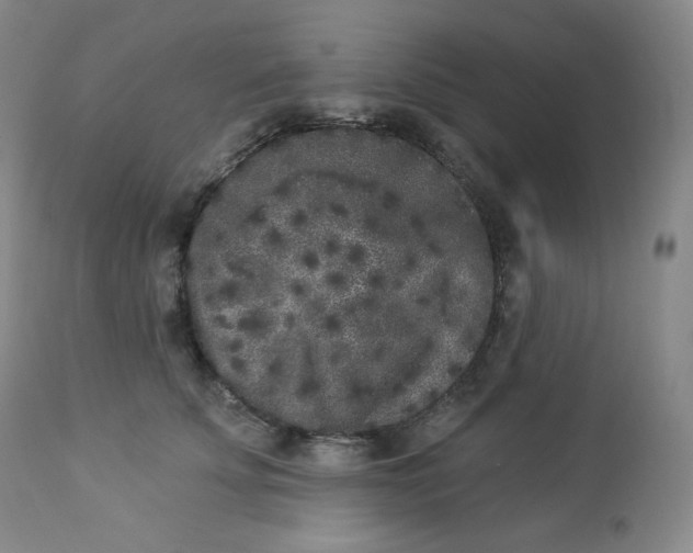 X0000112860707200909041553