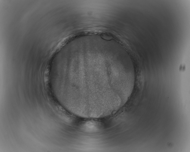 X0000112860708200909041553