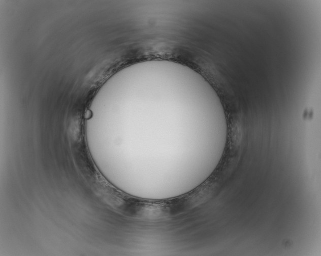 X0000112860709200909041553