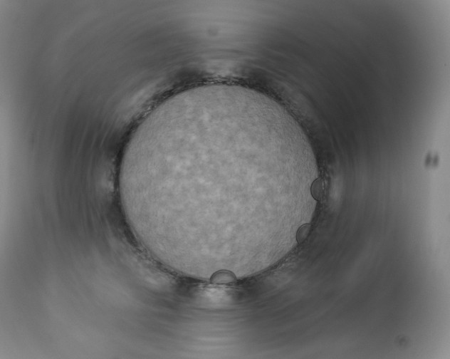 X0000112860710200909041553