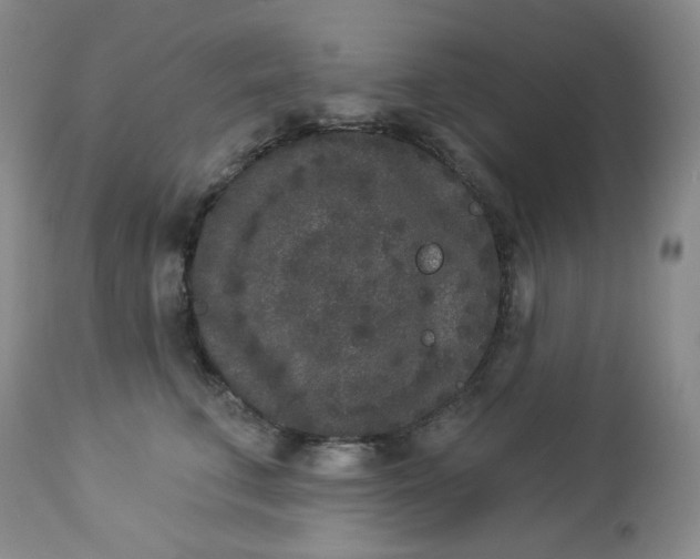 X0000112860711200909041553