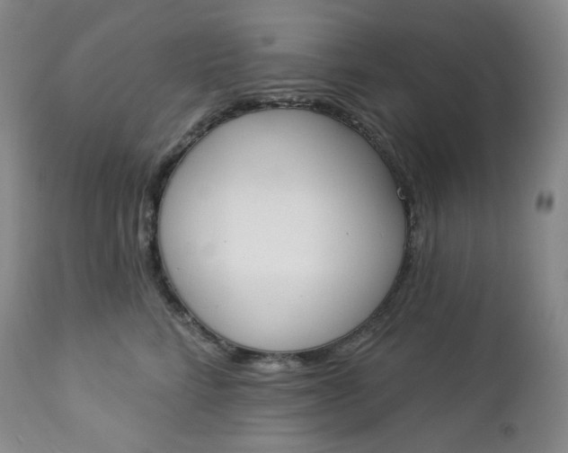 X0000112860712200909041553