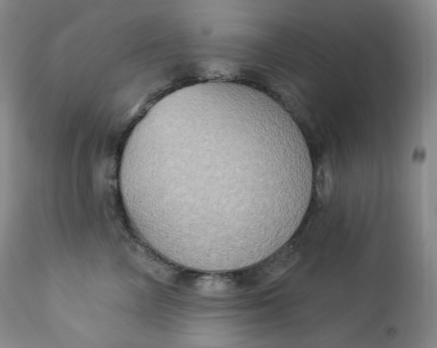 X0000112860714200909041553