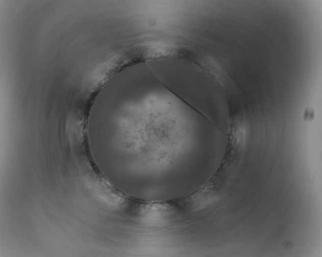 X0000112860716200909041553