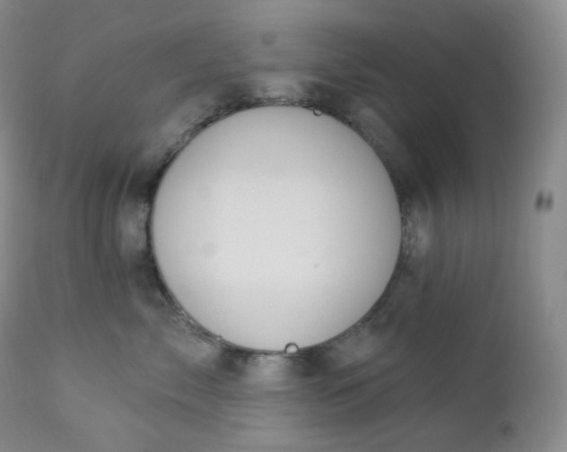 X0000112860717200909041553