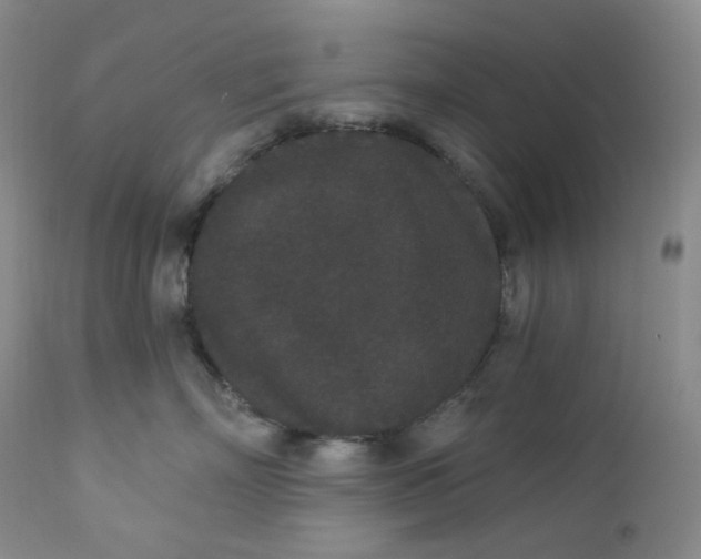 X0000112860718200909041553