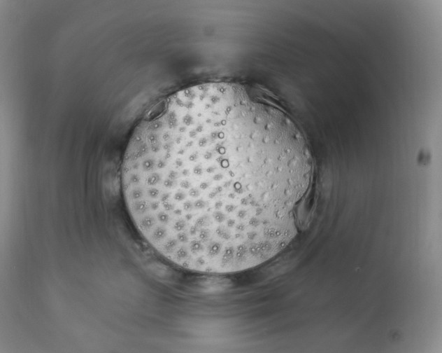 X0000112860719200909041553