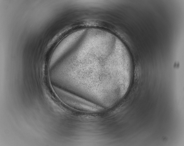 X0000112860722200909041552