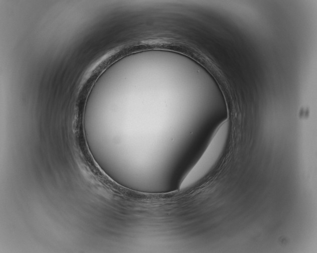 X0000112860724200909041552