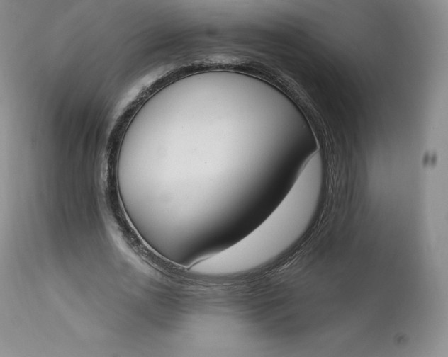 X0000112860726200909041552