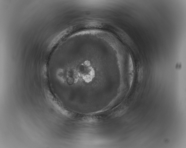 X0000112860729200909041552