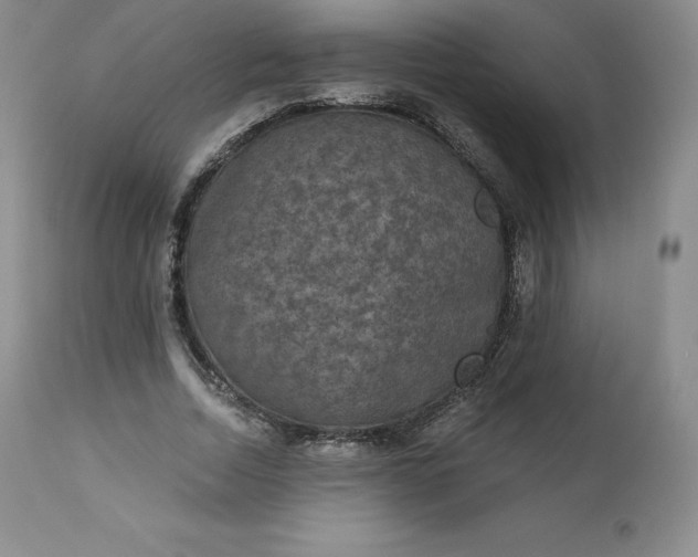 X0000112860730200909041552