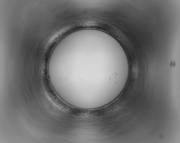 X0000112860732200909041552