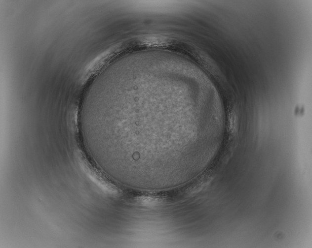 X0000112860733200909041553