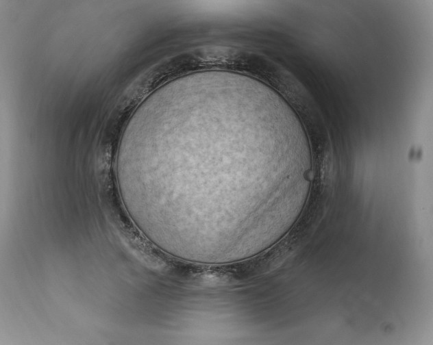 X0000112860737200909041553