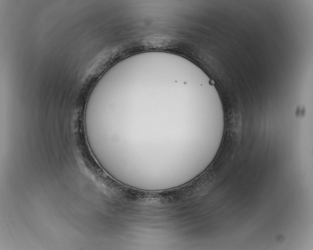 X0000112860738200909041553