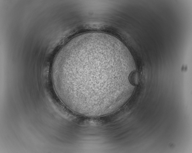 X0000112860739200909041553