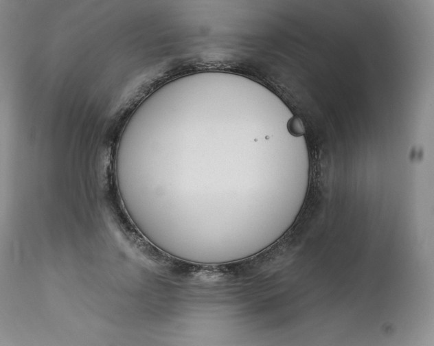 X0000112860742200909041553
