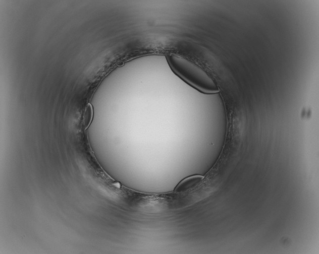 X0000112860750200909041553