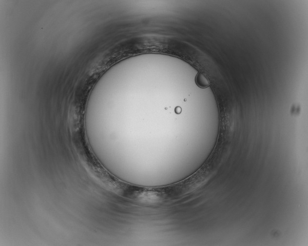 X0000112860751200909041553