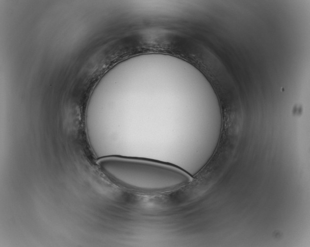 X0000112860752200909041553