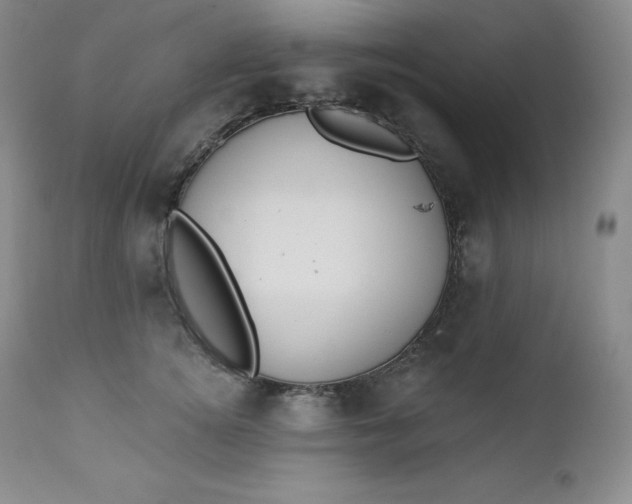 X0000112860756200909041553