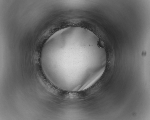 X0000112860758200909041553