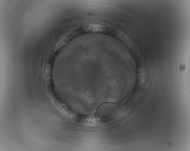 X0000112860760200909041553