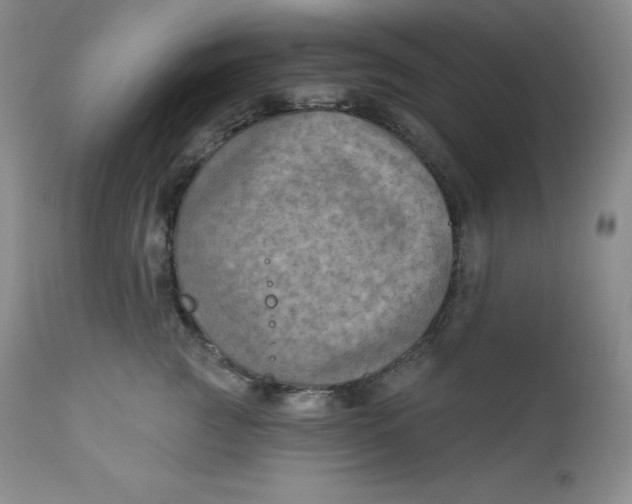 X0000112860761200909041553