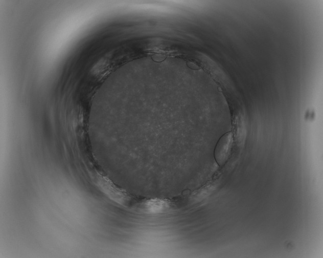 X0000112860762200909041553