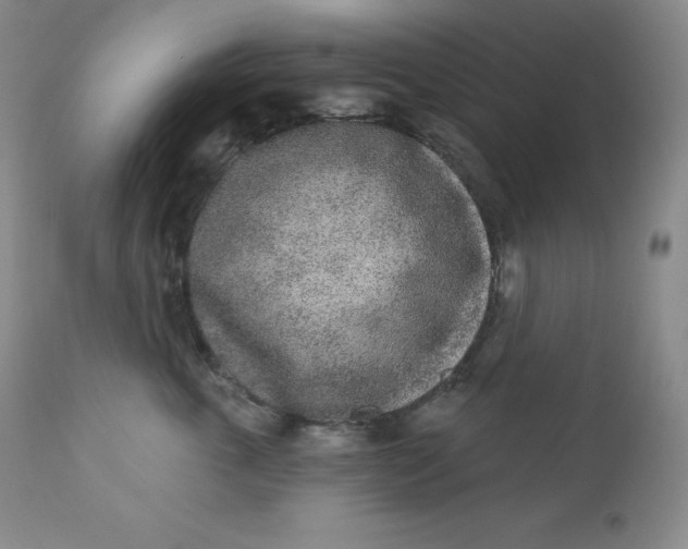 X0000112860763200909041553