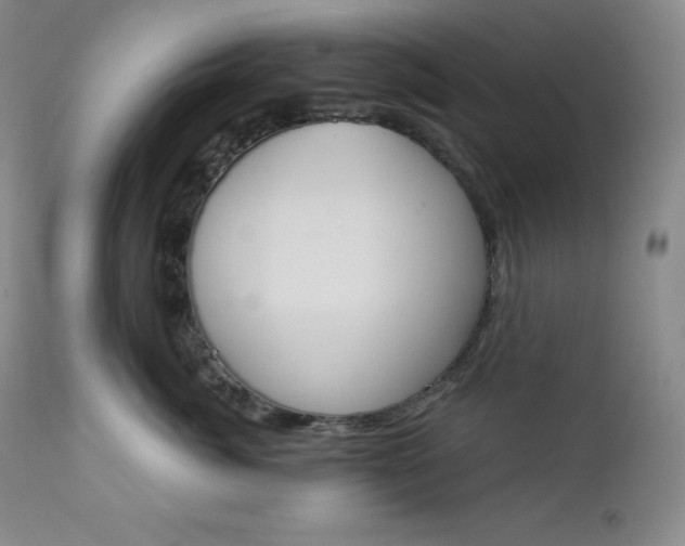 X0000112860764200909041553