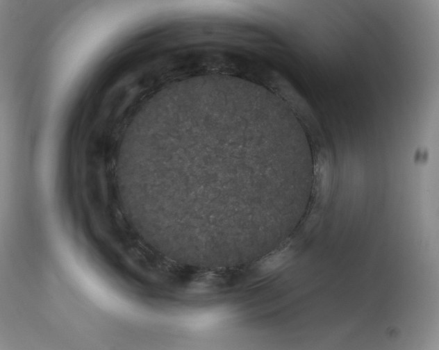 X0000112860765200909041553
