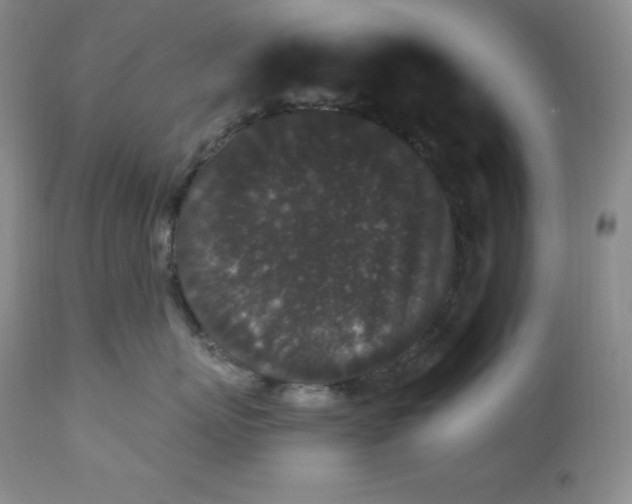 X0000112860767200909041553