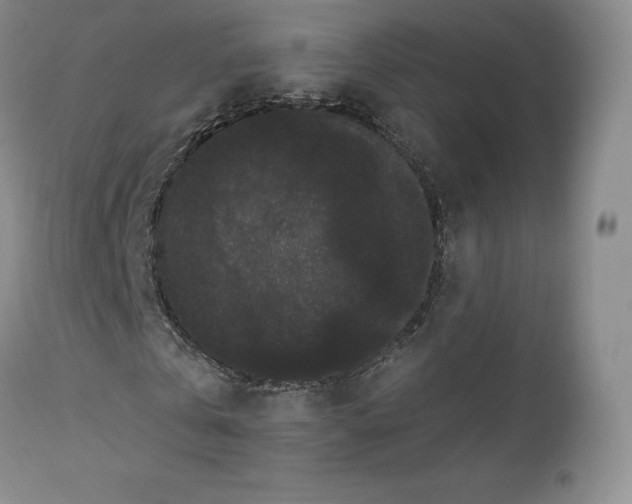X0000112860769200909041552