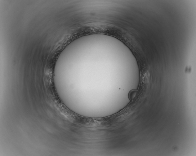 X0000112860772200909041552