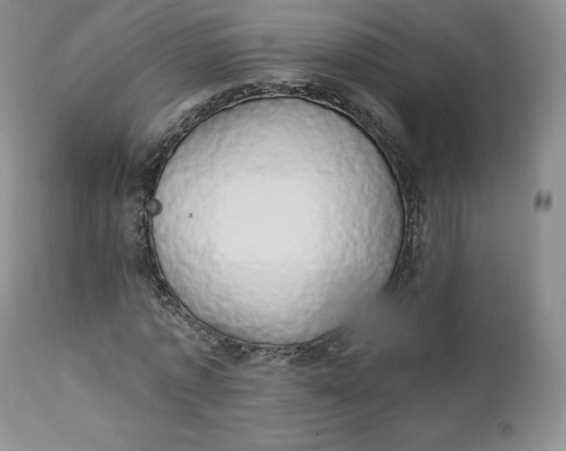 X0000112860773200909041552