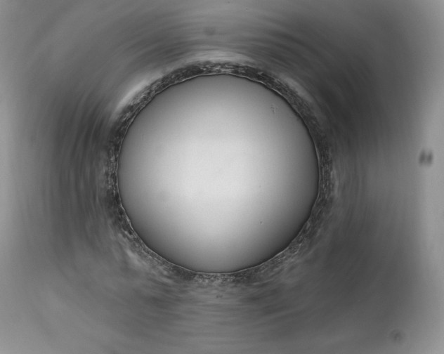 X0000112860775200909041552