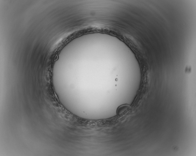 X0000112860776200909041552