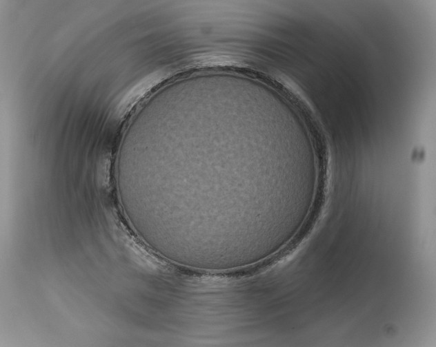 X0000112860777200909041552
