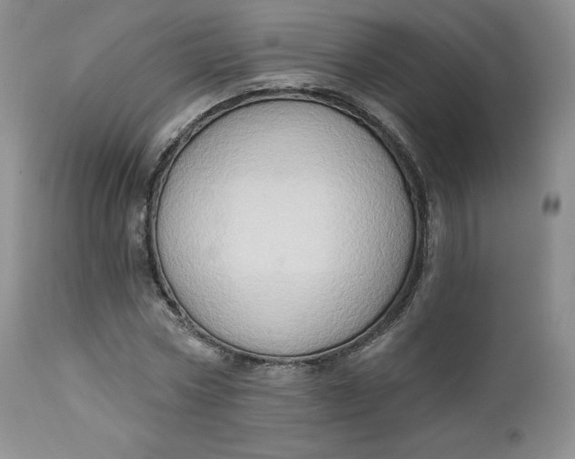 X0000112860778200909041552