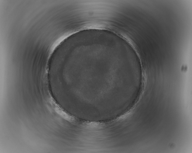 X0000112860779200909041552