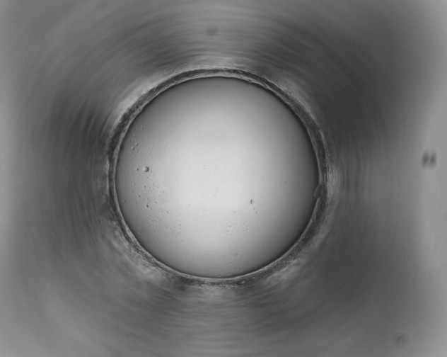 X0000112860781200909041552