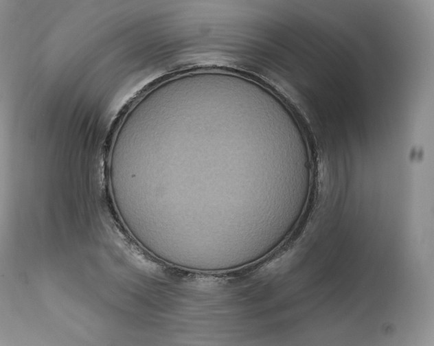 X0000112860782200909041552