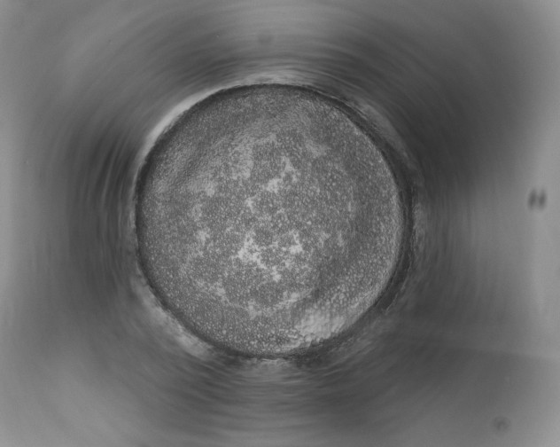 X0000112860784200909041552