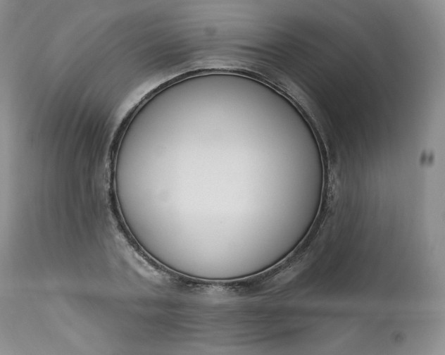 X0000112860787200909041552