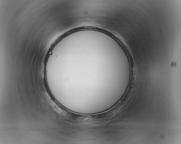 X0000112860791200909041552