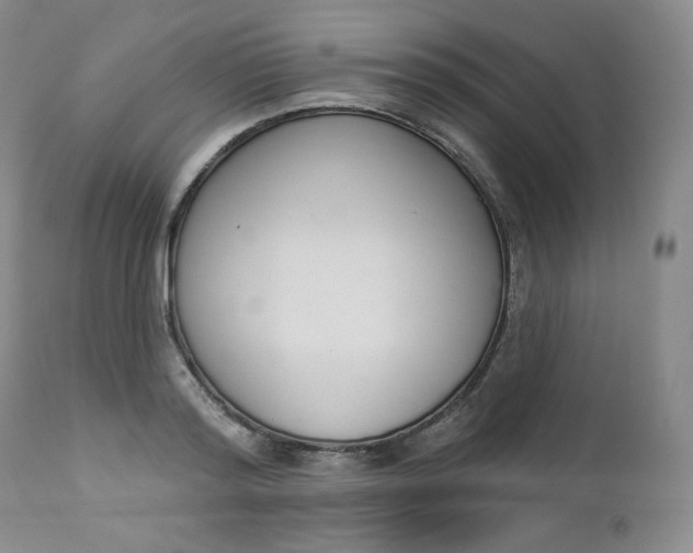 X0000112860796200909041552